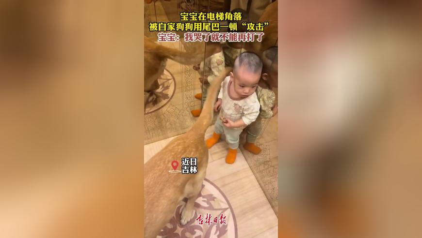 澳門王中王論壇開(kāi)獎(jiǎng)結(jié)果,以總理稱可在沙特建立巴勒斯坦國(guó),前瞻性戰(zhàn)略落實(shí)探討_試用版V6.36