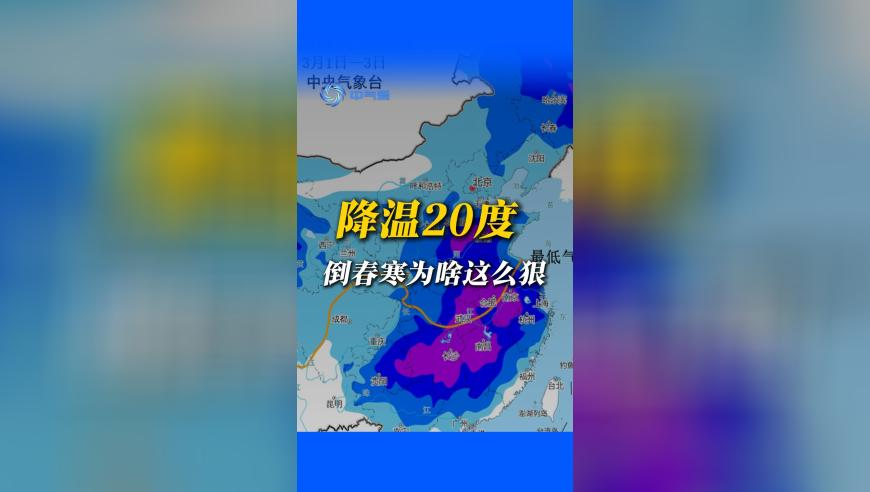 王中王493333今晚免費提供,外交部：保護(hù)中國公民的決心堅若磐石,準(zhǔn)確資料解釋落實_經(jīng)典版V11.83