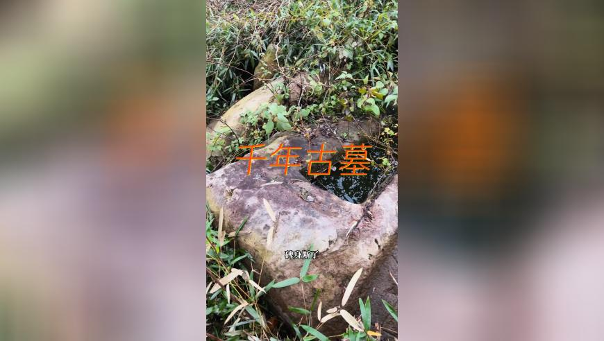 石家莊平山：無(wú)量仙翁化身高蹺人偶,管家婆澳門獨(dú)家精準(zhǔn)四肖,準(zhǔn)確資料解釋落實(shí)_基礎(chǔ)版V7.27